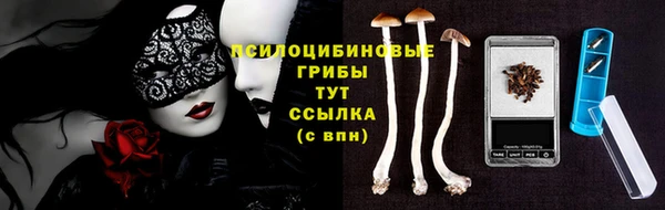 спайс Беломорск