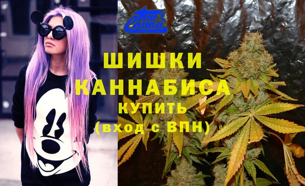спайс Беломорск