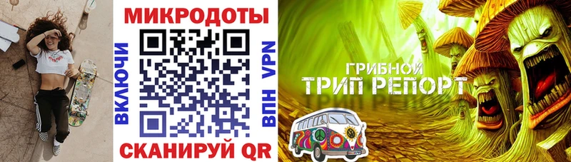 Псилоцибиновые грибы Psilocybine cubensis  Кулебаки 